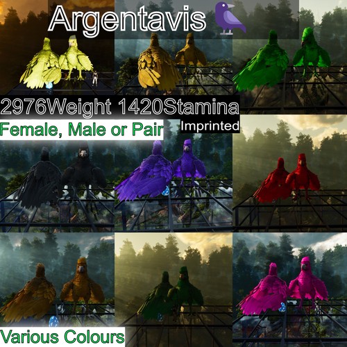 Argentavis argy max - argy, livello