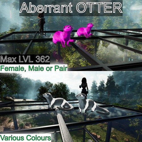 Aberrant otter max level - max,