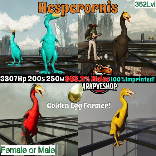 Hesperonis 863 corpo - hesperonis, a